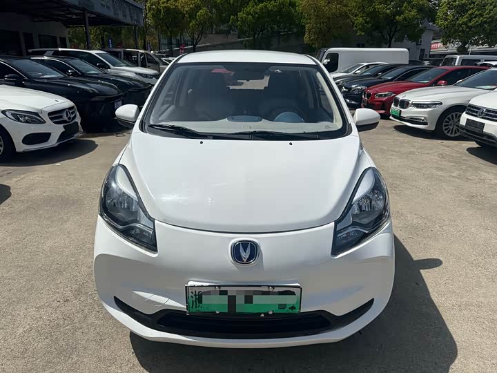 Benben 2021 31.18kWh - Automatic - 120,000 km - Image 2