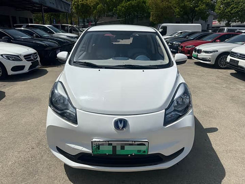 Benben 2021 31.18kWh - Automatic - 120,000 km - Image 2