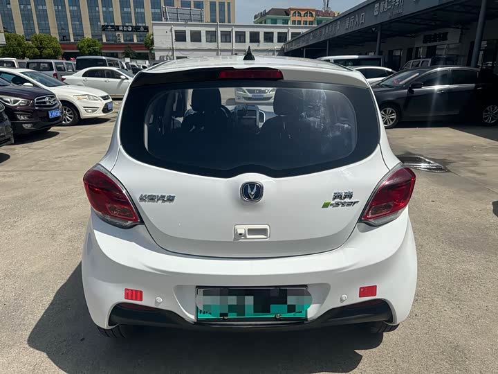 Benben 2021 31.18kWh - Automatic - 120,000 km - Image 5
