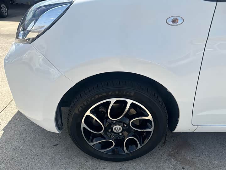 Benben 2021 31.18kWh - Automatic - 120,000 km - Image 8